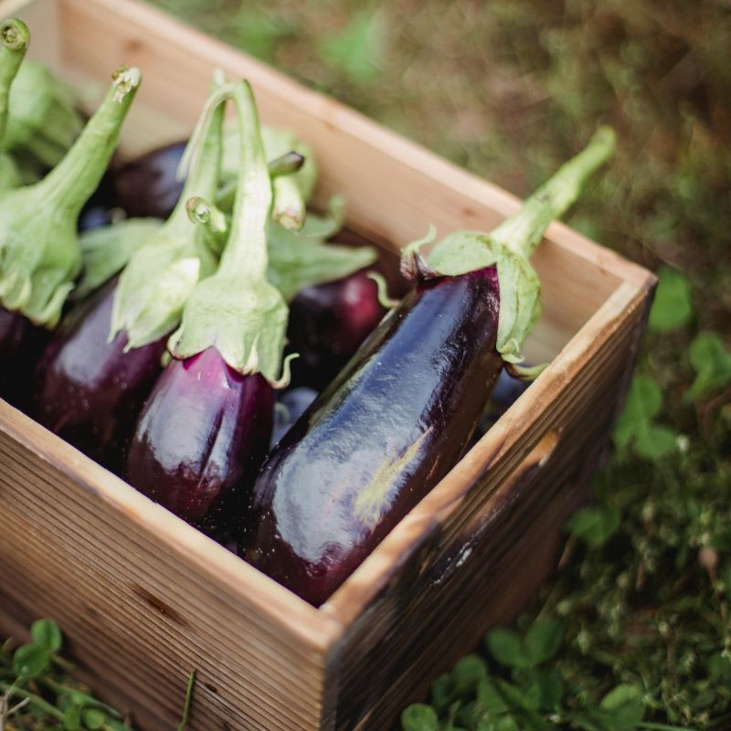 Aubergines, 1Kg