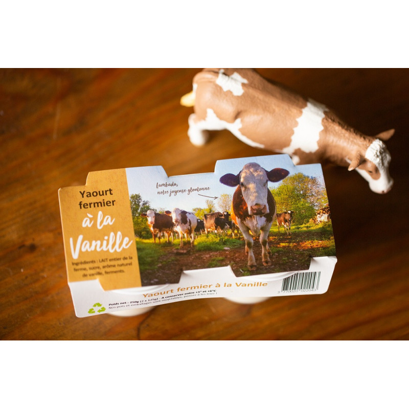 Yaourts Bio vanille au lait entier, 2x125g