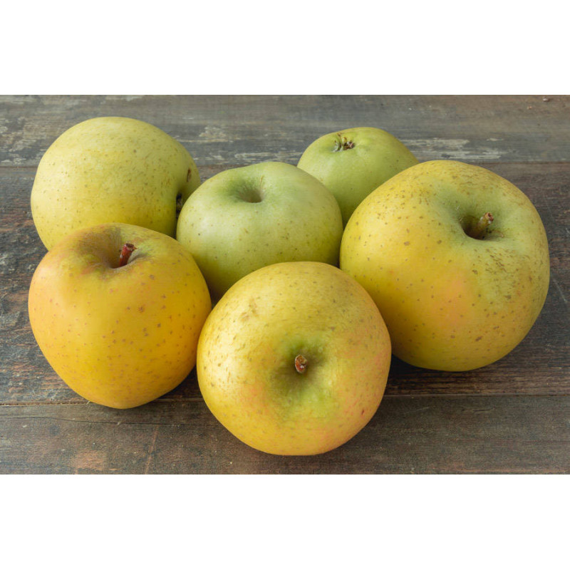 Pomme Chantecler, 1kg