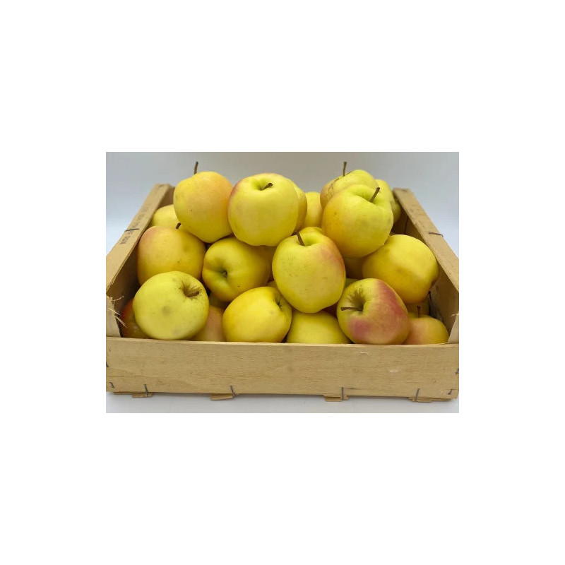 Pomme Golden, 1kg